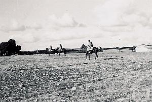 Hussards-HARKA 2